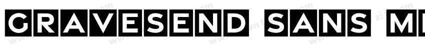 Gravesend Sans Medium字体转换